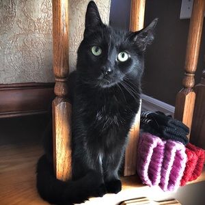 Meet your Posher, Amanda